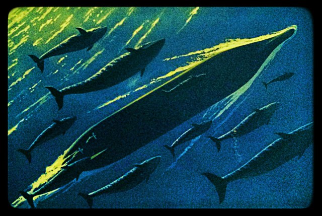 Queen Mary 2 Front Cover